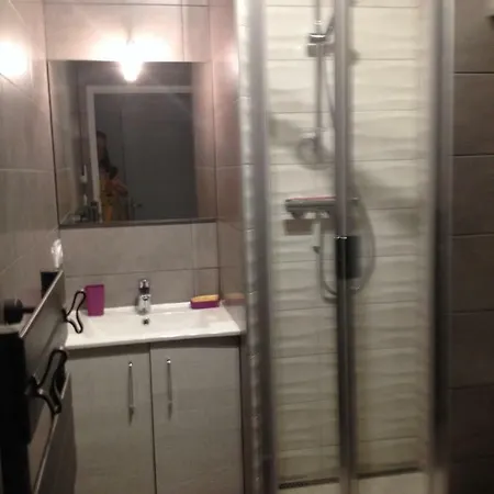 Le Croix Roussien Centre Apartment